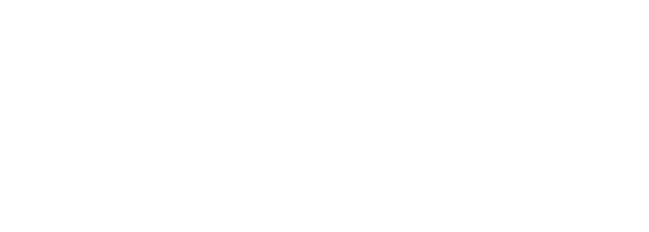 Checklick logo white transparent